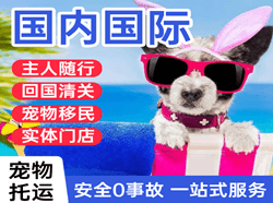 肥东白龙航空物流国际宠物托运 【国